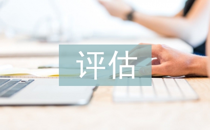 履职评估报告