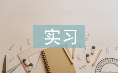 中专生个人实习总结