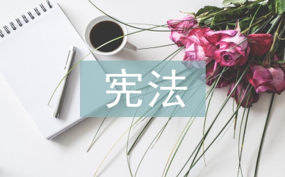 宪法原则论文