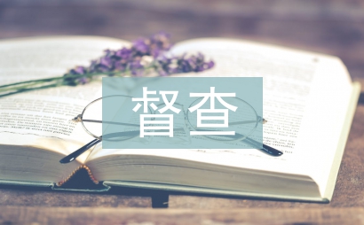 城管执法局对纪检督查工作调研