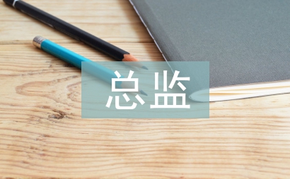 总监工作思路