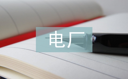 电厂企业经济管理分析