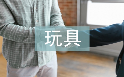 玩具市场调查报告