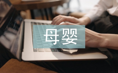 母婴年中总结