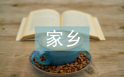 20年后的家乡400字作文