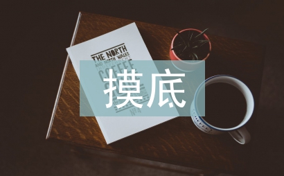 摸底调查报告