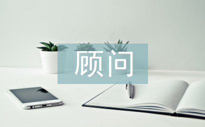 顾问总结