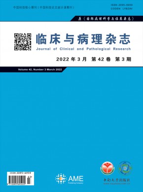 临床与病理