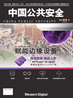 中国公共安全