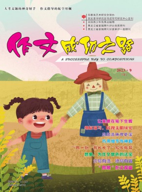 作文成功之路