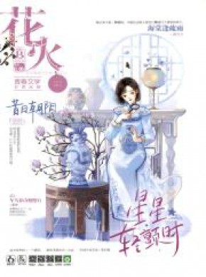 花火·B版